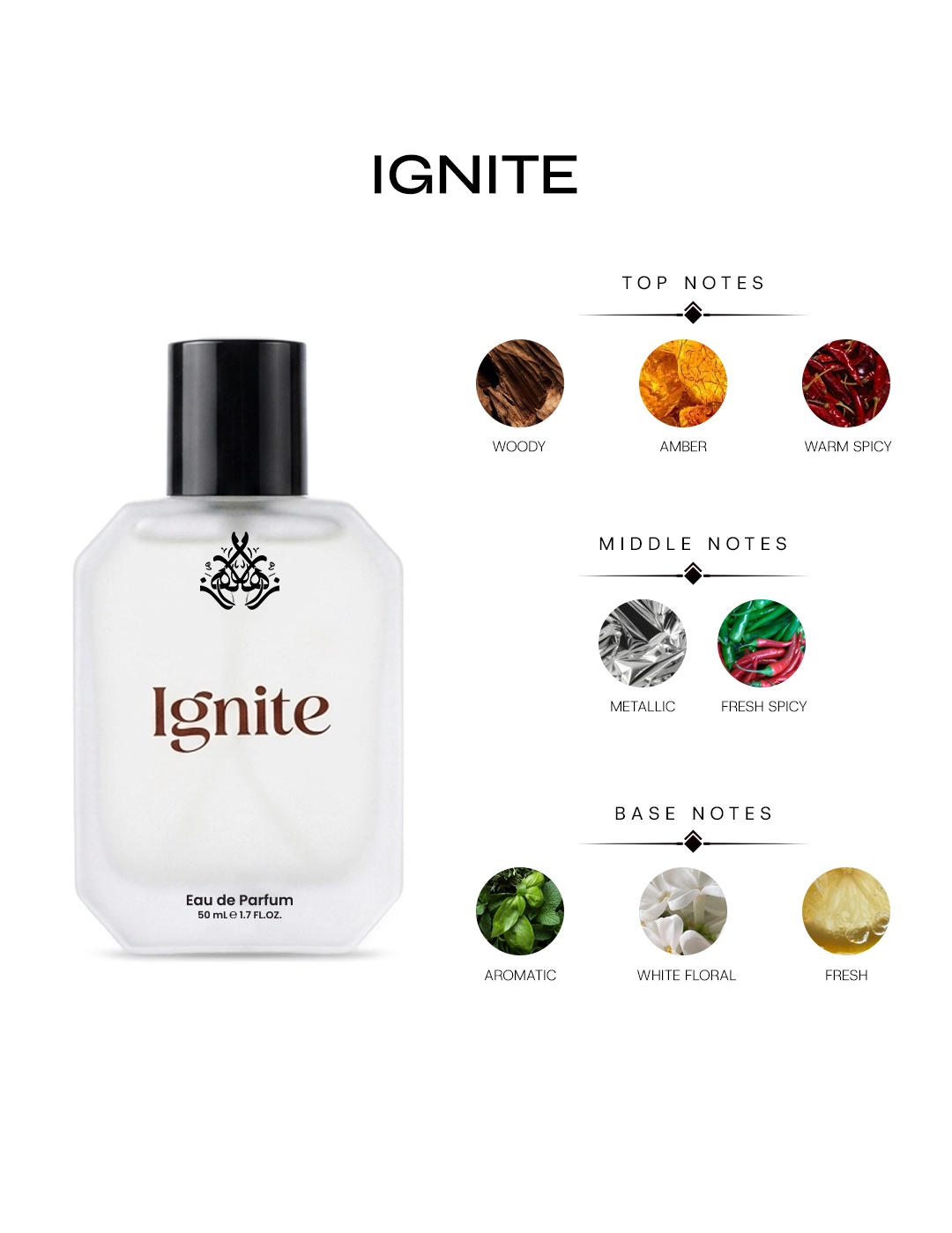 Ignite - Image 4